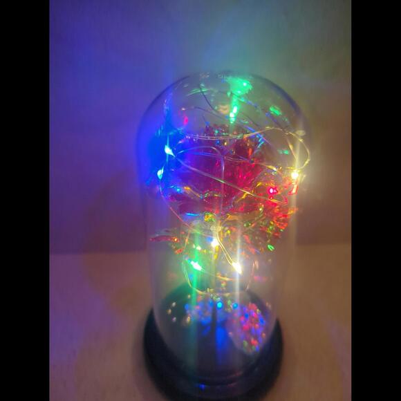 Rose light - Picture 6 of 6